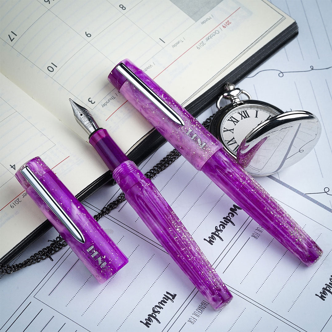 Benu DailyMate Fountain Pen Exciting Friday
