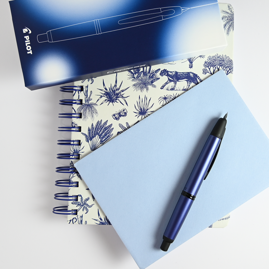 Pilot Capless Fountain Pen Stainless Blue