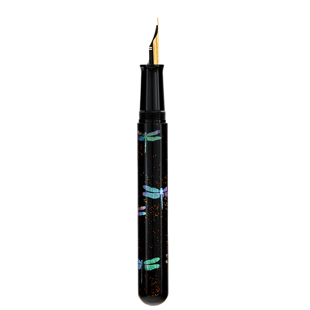 IKKAKU by Nahvalur Dragonfly Fountain Pen 14K Nib