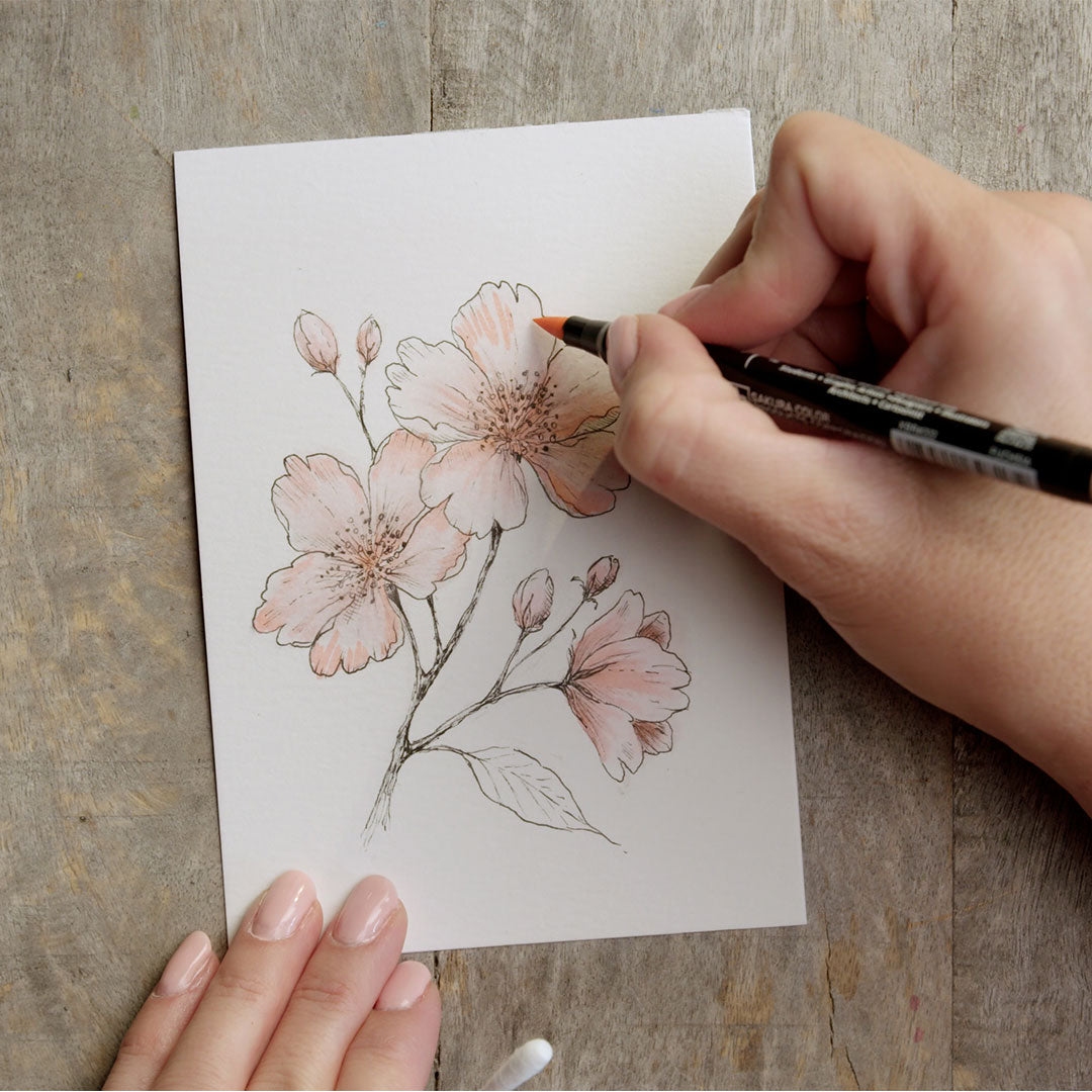 Sakura Art Kit