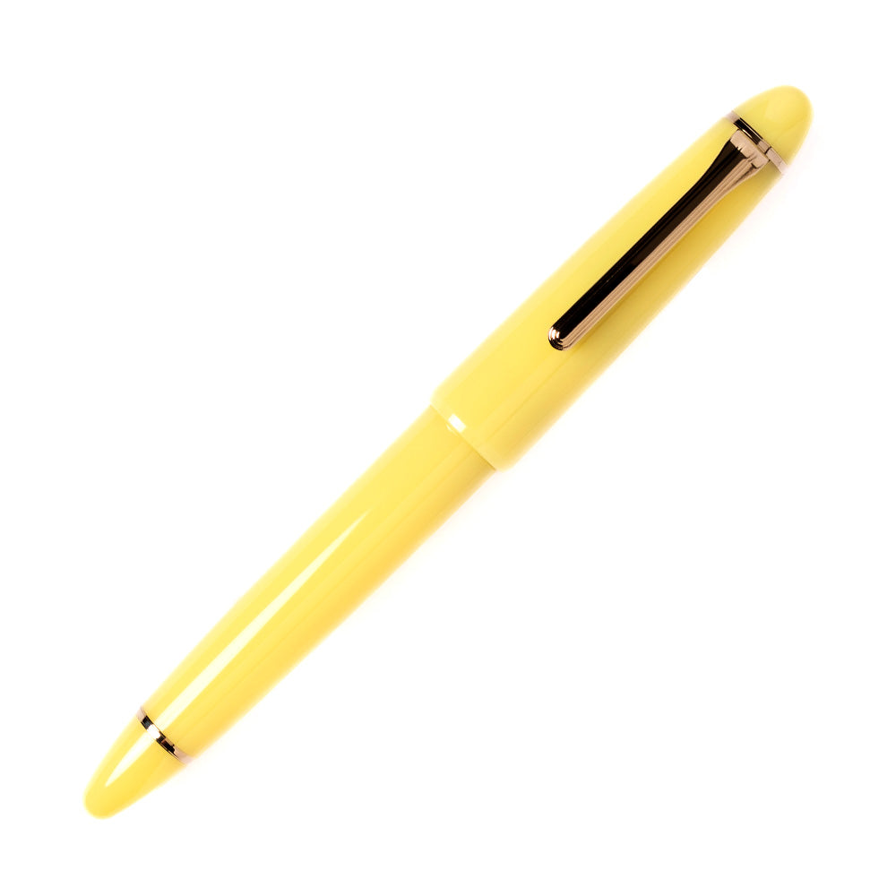 Sailor 1911 Large Fountain Pen Ringless Kyoto Garden Icho Limited Edition