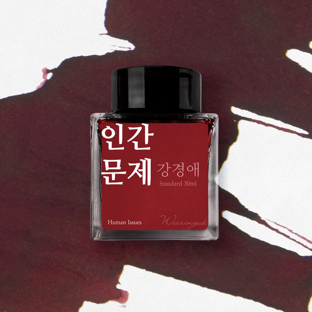 Wearingeul Korean Female Modern Writer Fountain Pen Ink 30ml