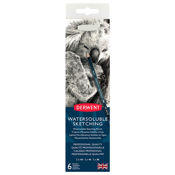 Derwent Watersoluble Graphite Sketching Pencil Tin of 6 by Derwent at Cult Pens