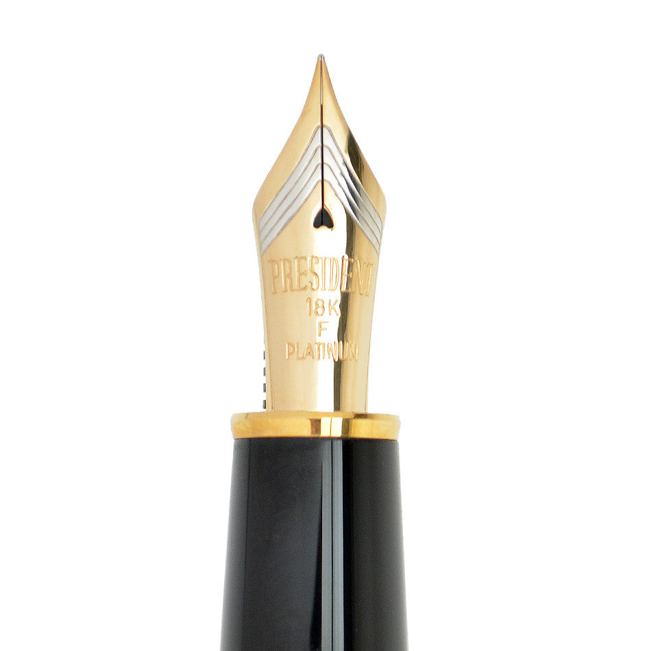 Platinum Izumo Matt Tagayasan Fountain Pen by Platinum at Cult Pens