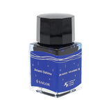 Sailor Profit Junior Medium Fine Fountain Pen with 10ml Ink Anami Oshima
