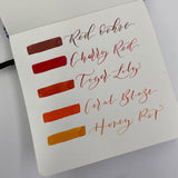Diamine Forever Ink Permanent Pigment Fountain Pen Ink 50ml