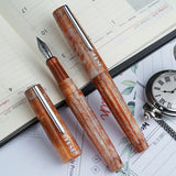 Benu DailyMate Fountain Pen Relaxing Sunday