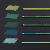 Caran d'Ache Pablo Artists Permanent Colour Pencil Assorted Tin of 120