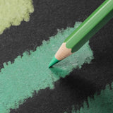 Caran d'Ache Pablo Artists Permanent Colour Pencil Assorted Tin of 120
