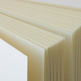 Midori MD Thick Notebook A5 Plain