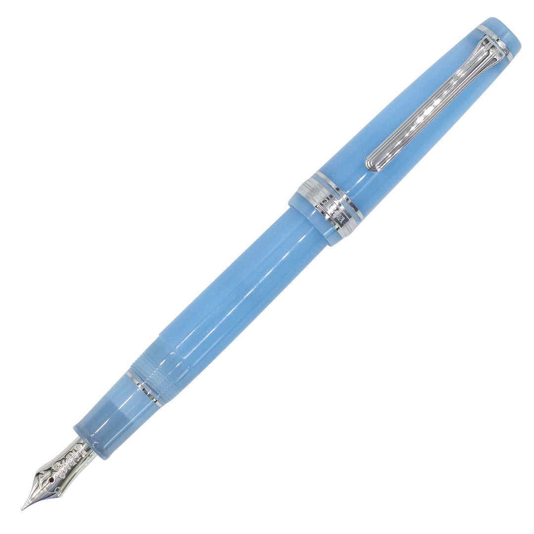 Nagasawa Onomatope Pukapuka Fountain Pen by Nagasawa at Cult Pens