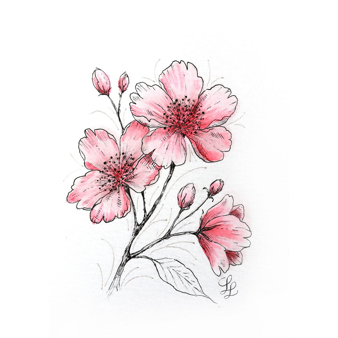 Sakura Art Kit