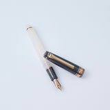 Sailor Professional Gear Slim Dried Flowers II Fountain Pen Black Rose