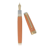 Sailor Professional Gear Regular Shiba Inu Fountain Pen 14K Nib