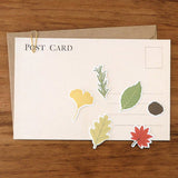 Suatelier Cereal Sticker Leaves (303)