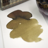 Ferris Wheel Press Ferritales Fountain Pen Ink 20ml Citadel Dust