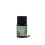 Ferris Wheel Press Everyday Fountain Pen Ink 10ml Evermore Green