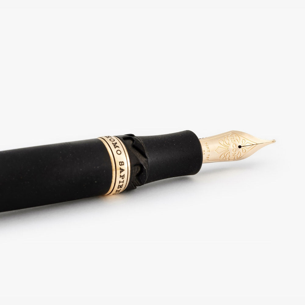 Visconti Homo Sapiens Bronze Age Fountain Pen
