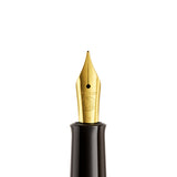Pelikan Classic M200 Brown Marbled Fountain Pen by Pelikan at Cult Pens
