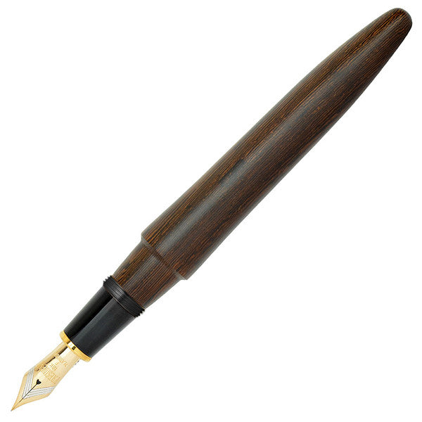 Platinum Izumo Matt Tagayasan Fountain Pen by Platinum at Cult Pens