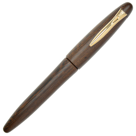 Platinum Izumo Matt Tagayasan Fountain Pen by Platinum at Cult Pens