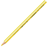 STABILO Trio Thick Colouring Pencil Set of 24 by STABILO at Cult Pens